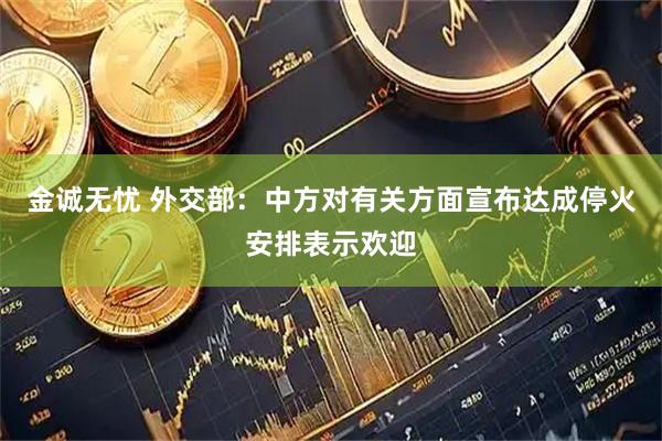金诚无忧 外交部：中方对有关方面宣布达成停火安排表示欢迎